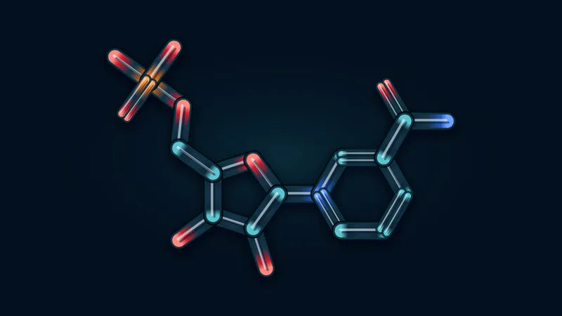 β-Nicotinamid-Mononukleotid (NMN)