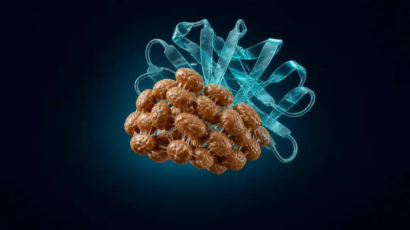 Nattokinase